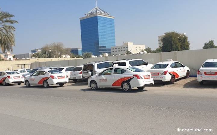 List of Driving Schools in Ajman : Top Choices for Beginners